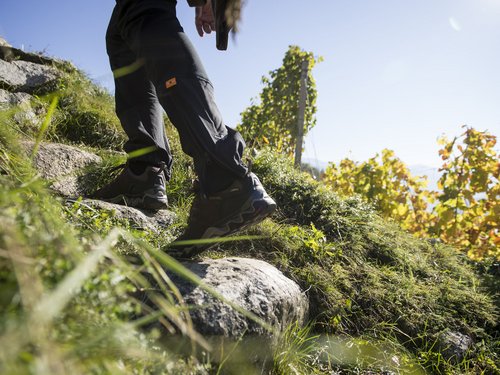 Brixen | Urlaub in den ADAM Suites Brixen | Urlaub in den ADAM Suites